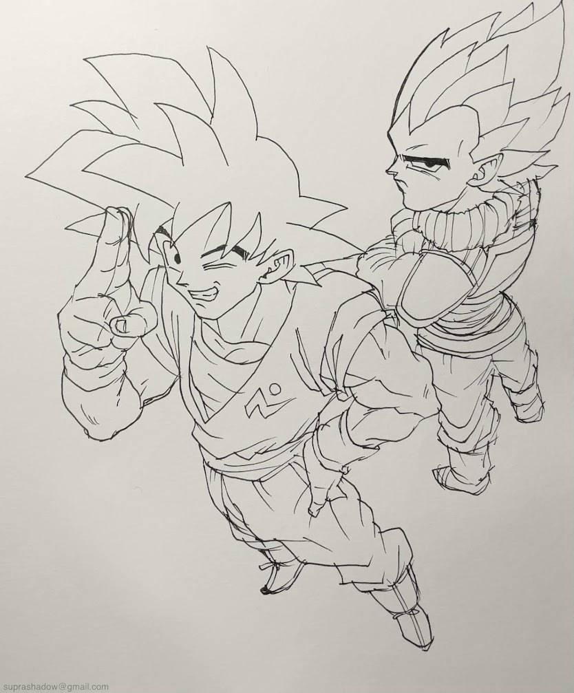 Goku & Vegeta